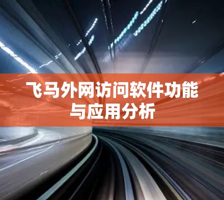 飞马外网访问软件功能与应用分析