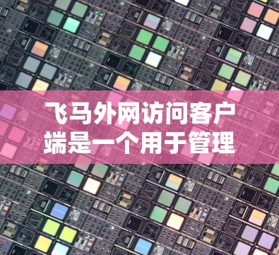 飞马外网访问客户端是一个用于管理和访问内部资源的网络功能，主要用于远程访问内部客户端的数据和应用程序。以下是对该功能的详细解释和操作指南