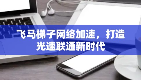 飞马梯子网络加速，打造光速联通新时代