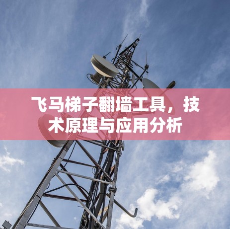 飞马梯子翻墙工具，技术原理与应用分析