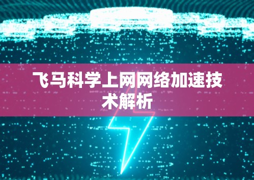 飞马科学上网网络加速技术解析