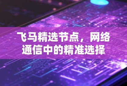 飞马精选节点，网络通信中的精准选择