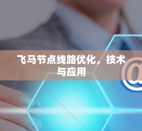 飞马节点线路优化，技术与应用