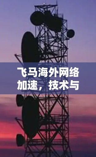 飞马海外网络加速，技术与应用探析