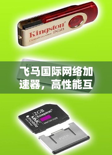 飞马国际网络加速器，高性能互联，全球网络优化
