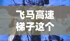 飞马高速梯子这个名称听起来像是一个旅游或休闲景点的名字，可能位于某个高速公路附近，或者是某个特定的观光区。为了更好地了解这个景点，你可以通过以下步骤进行调查