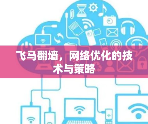 飞马翻墙，网络优化的技术与策略