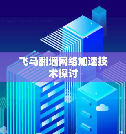 飞马翻墙网络加速技术探讨