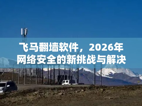 飞马翻墙软件，2026年网络安全的新挑战与解决方案