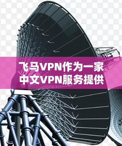 飞马VPN作为一家中文VPN服务提供商，可能在以下几个方面表现出色